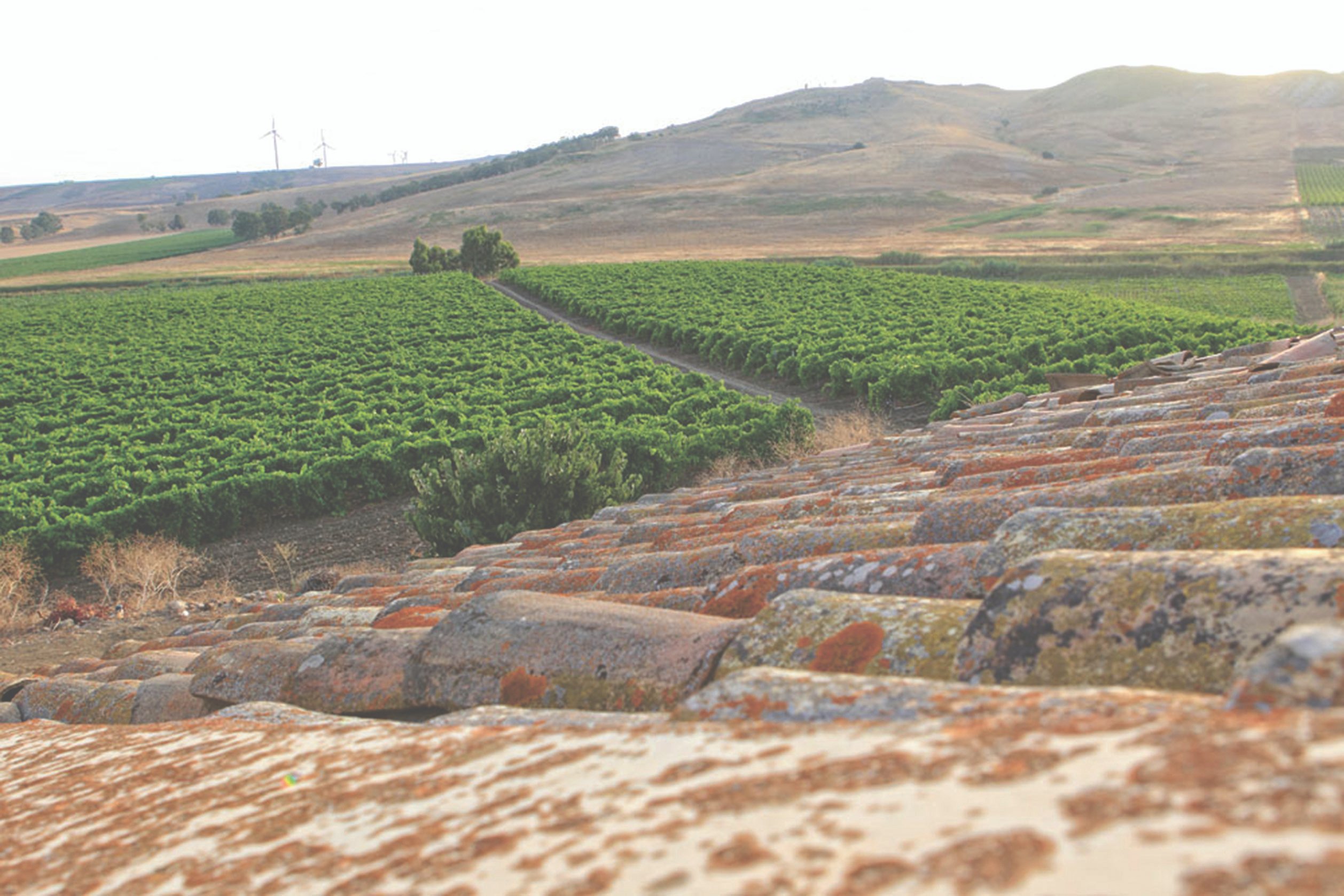 Assuli Sizilien Graci Etna